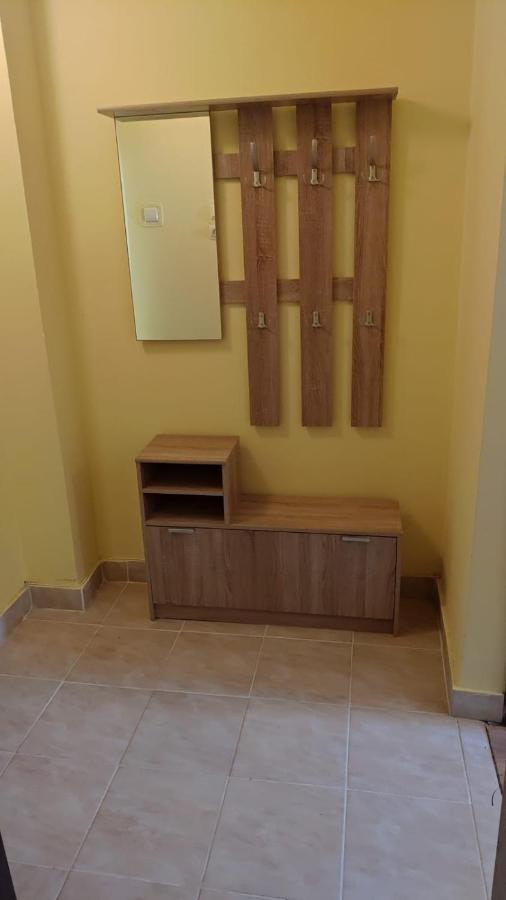 Flora Apartament Apartment Satu Mare Bagian luar foto