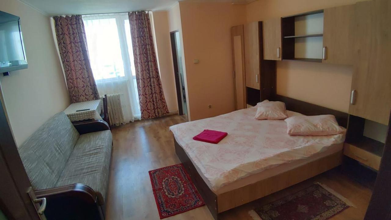 Flora Apartament Apartment Satu Mare Bagian luar foto