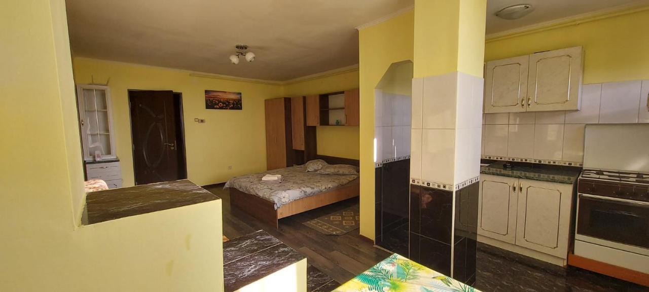 Flora Apartament Apartment Satu Mare Bagian luar foto