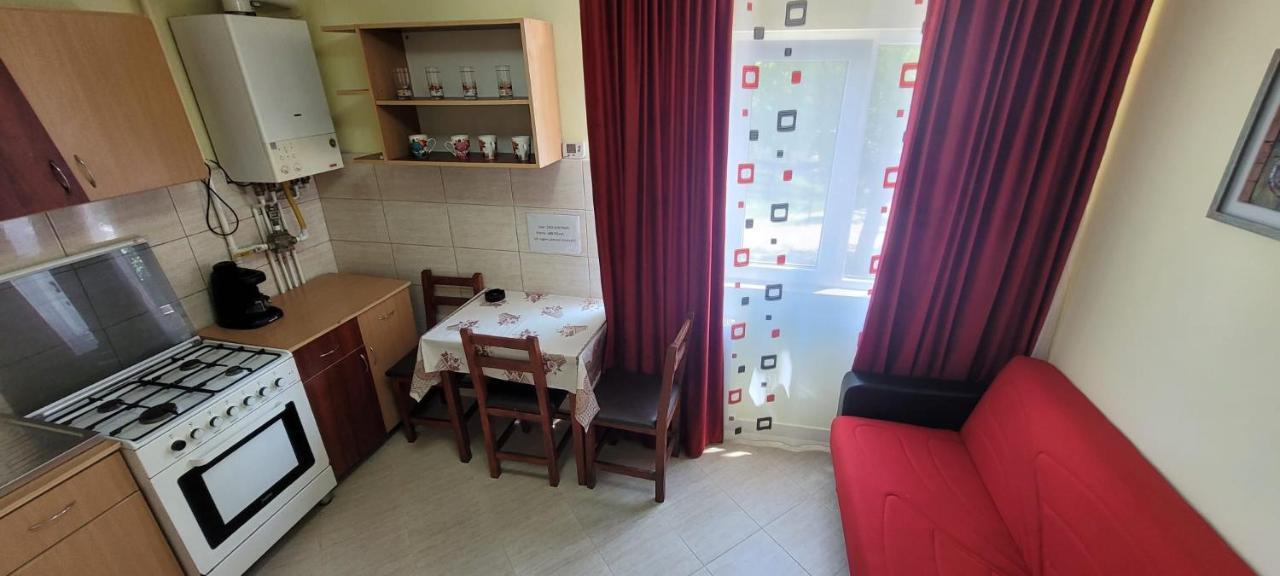 Flora Apartament Apartment Satu Mare Bagian luar foto