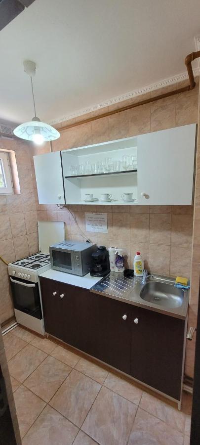 Flora Apartament Apartment Satu Mare Bagian luar foto