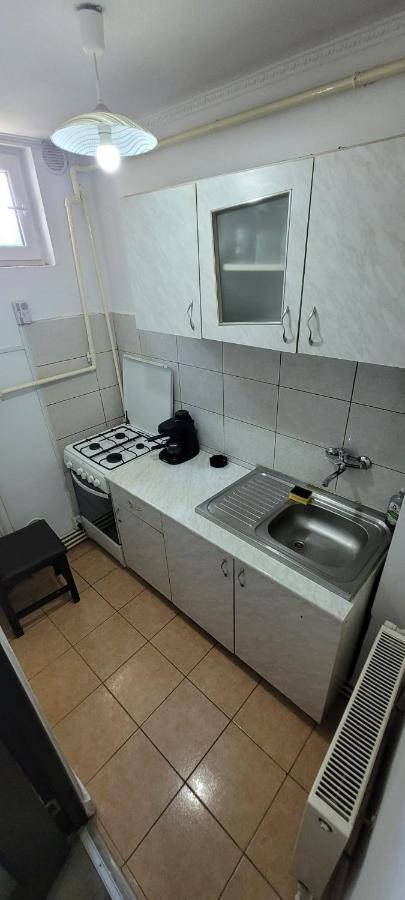 Flora Apartament Apartment Satu Mare Bagian luar foto