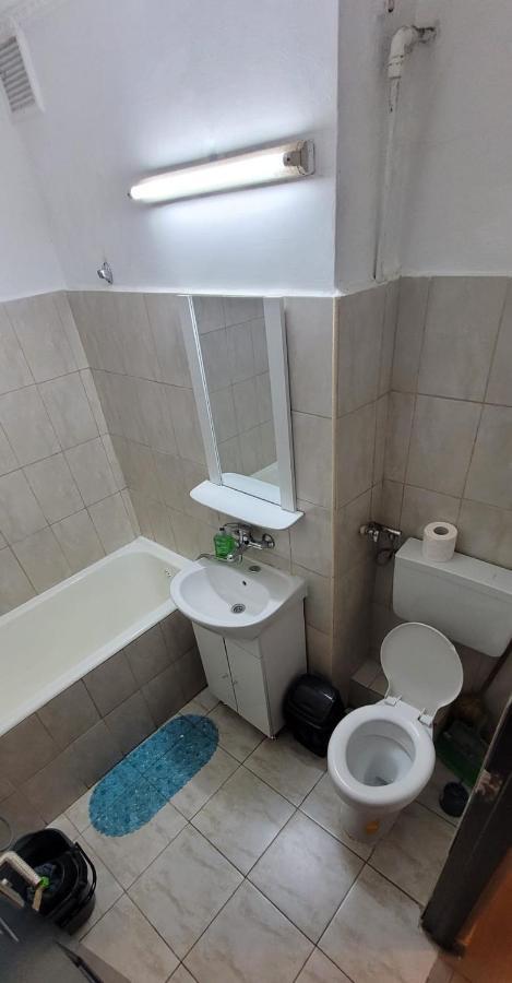 Flora Apartament Apartment Satu Mare Bagian luar foto