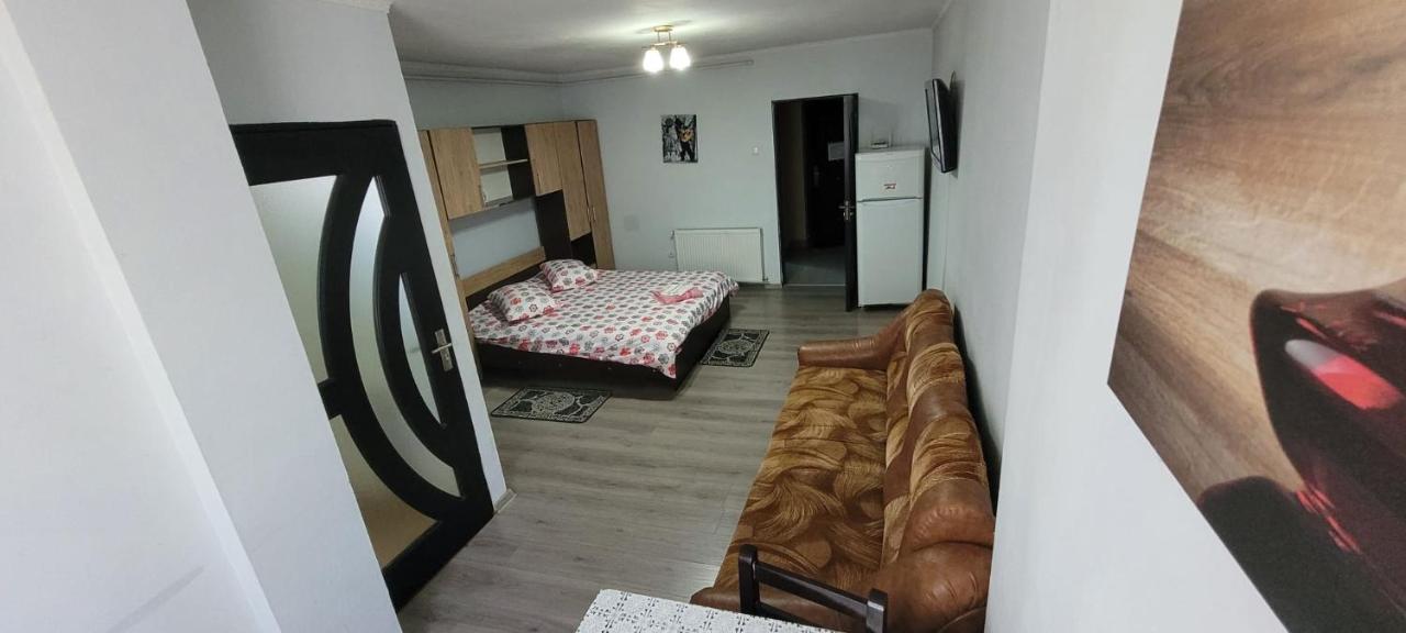 Flora Apartament Apartment Satu Mare Bagian luar foto