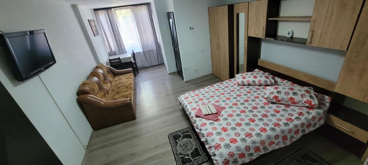 Flora Apartament Apartment Satu Mare Bagian luar foto